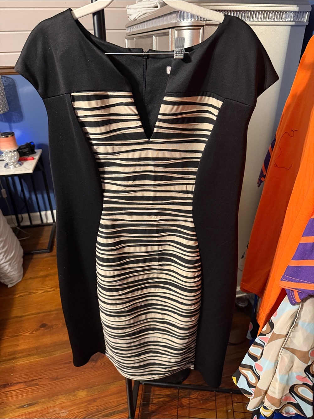 Dress Barn Black Dress with Cream and Black Striped Center